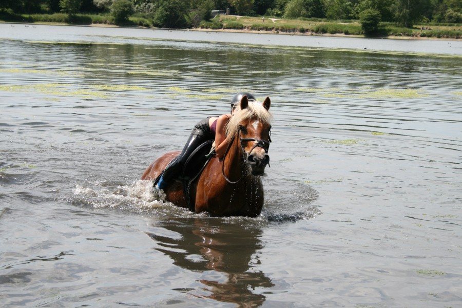 Quand il faisait beau et chaud...