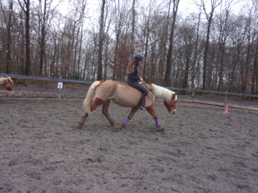 Cordelette