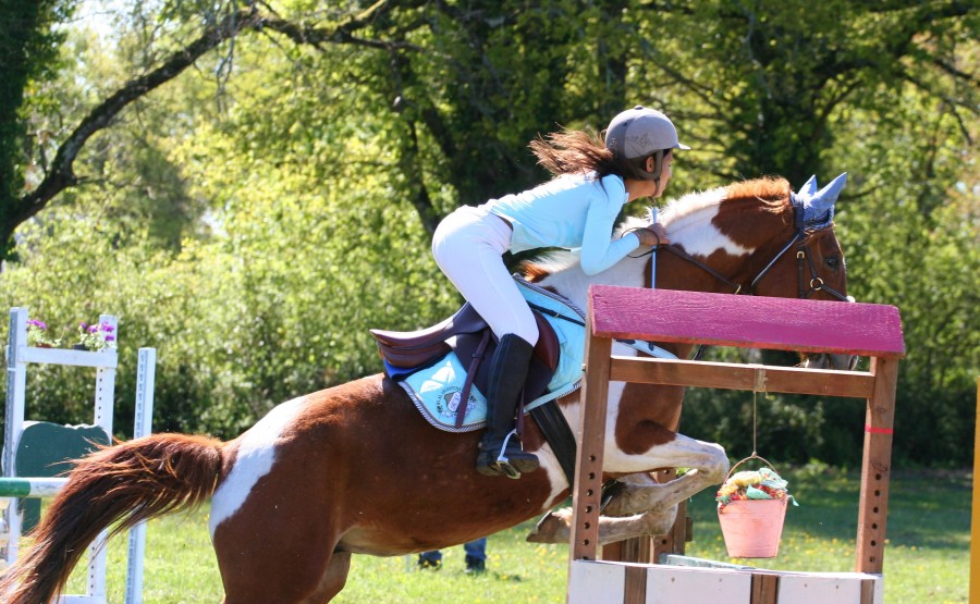 Idole du Cizeros, 2012