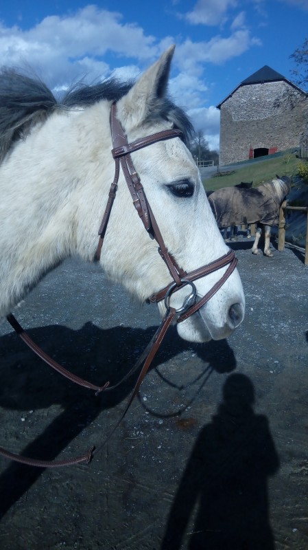 Chenours, my shy pony
