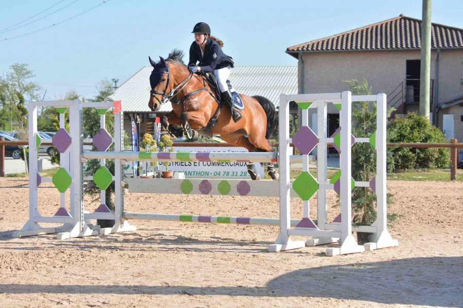 ?? � VENDRE ??
Jument bai Selle fran�ais de 11ans 
Par IDEM DE B?NEVILLE et CALAMEE (p�re de mere LUBUMBASHI) 
C?est une jument gentille, respectueuse avec un sens de la barre pour jeune amateur ou pour passe de poney � cheval. 
Classe 105, 110 a d�j� fai