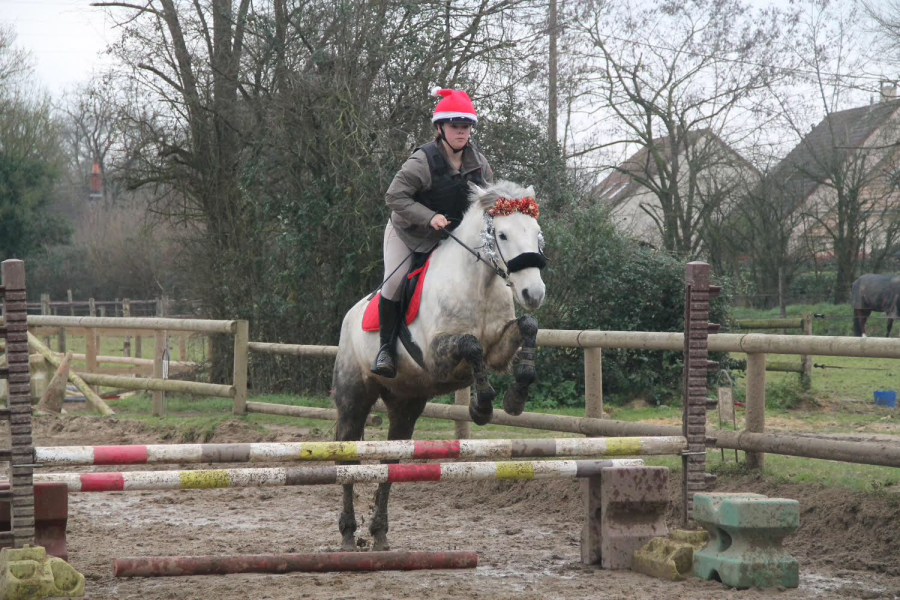 Concours interne dguis
