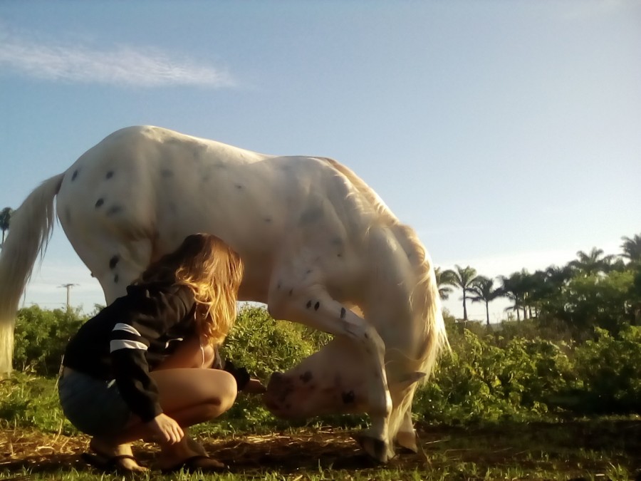 Le gros salut au monde ;p