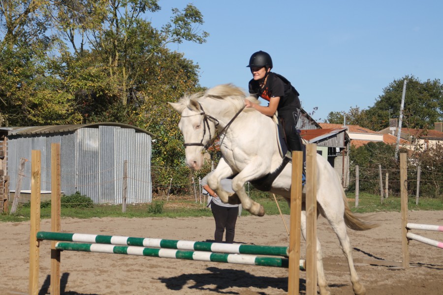 entrainement avant concours