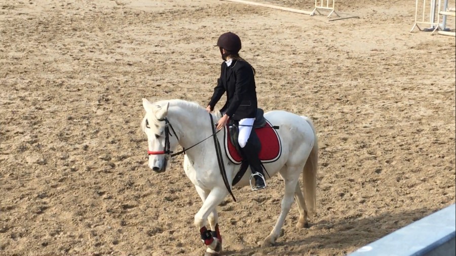 Nuit,echauffement avant concours.
11 novembre 2016