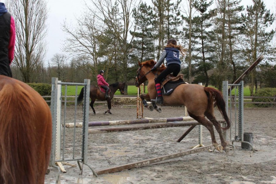 Enchainement 1m avec Tosca, cette petite ponette debour�e avec une amie juste au top !
26 fevrier 2017