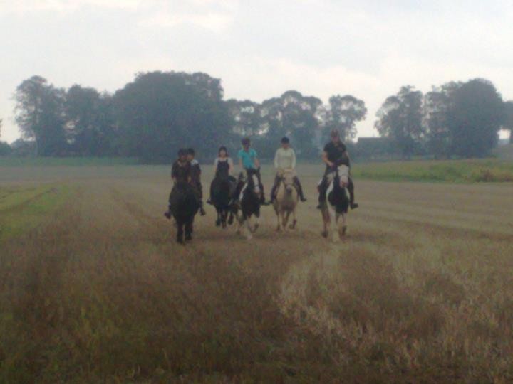 Mako est � droite du cheval noir tout � gauche :)