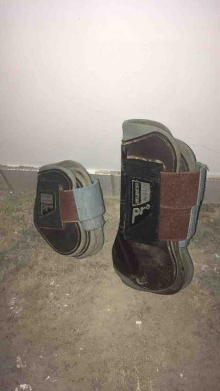 Ensemble norton pro choco ciel 15?