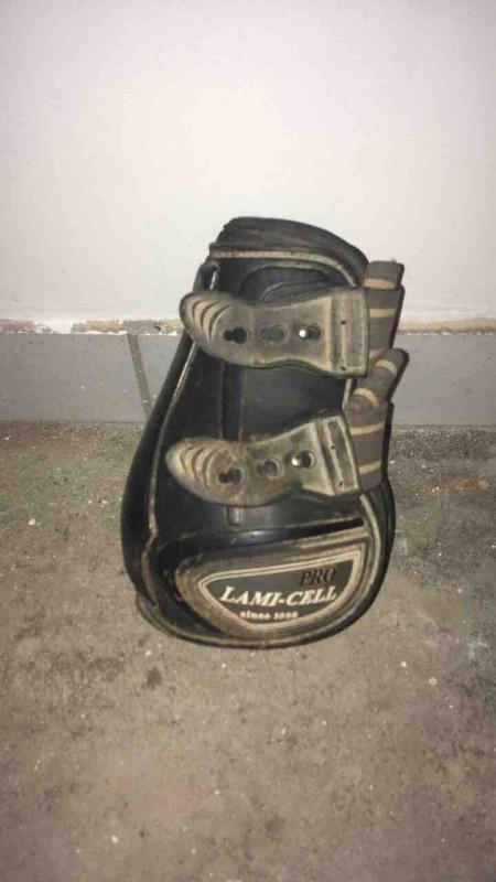 Geutre taille cheval lamicelle 20?