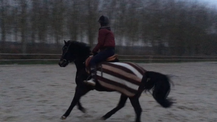 Petite reprise