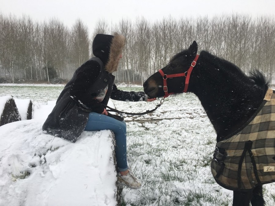 Sous la neige