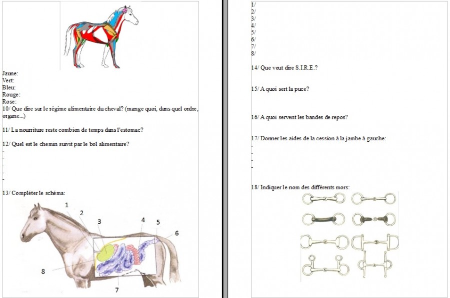 Test galop 5 ffe