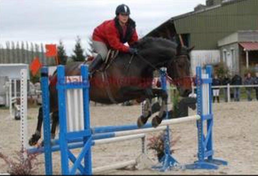 La fille dessus n'es pas moi mais je recherche ce cheval