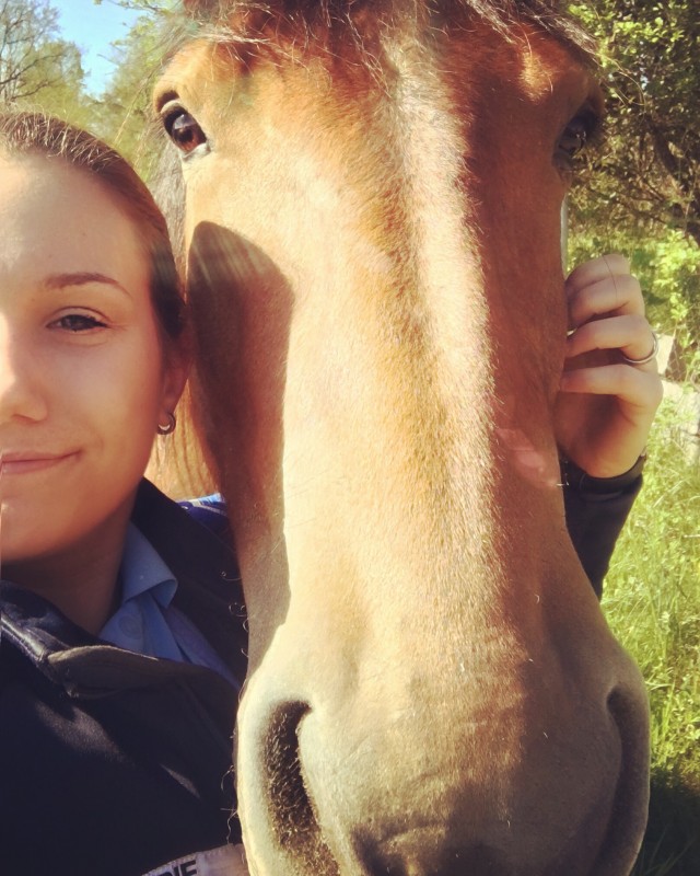 Sauvetage d'une jument Trait Breton pleine qui s'etait echapp�e de chez elle ! 
On est arriv�s a temps, un centre equestre est venue la chercher en van (elle avait peur et on y a pass� du temps ... 2 heures :)) et on a pu retrouver le proprietaire !