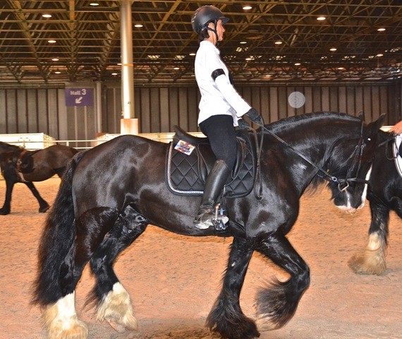 Salon du cheval