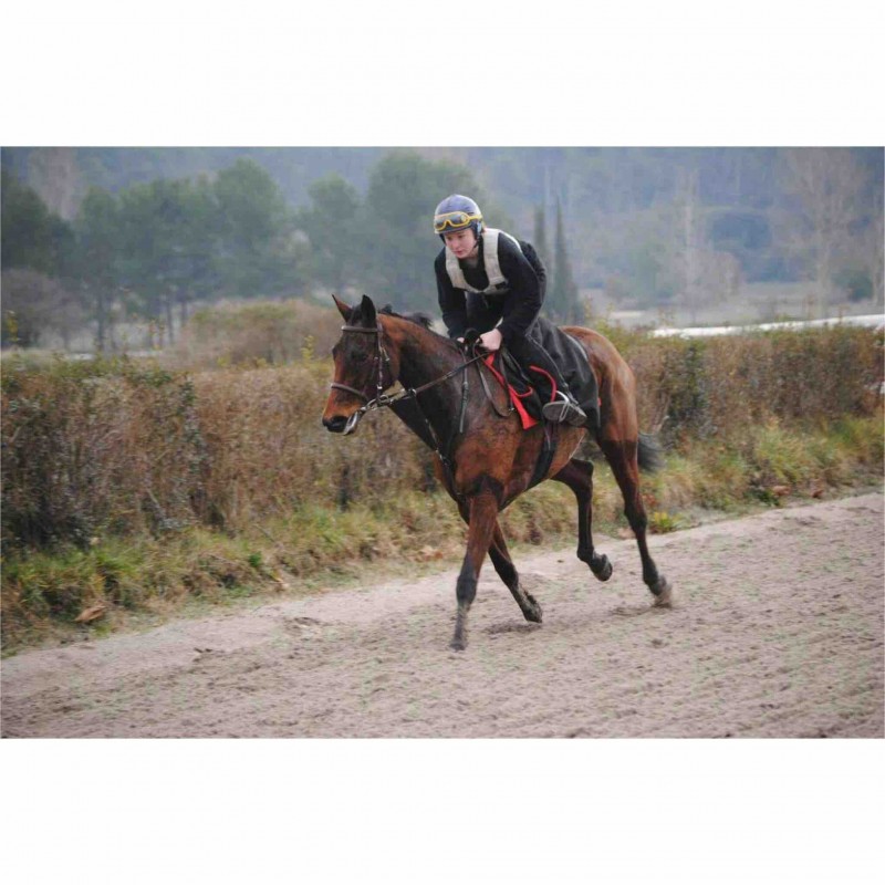 La pavlova au canter