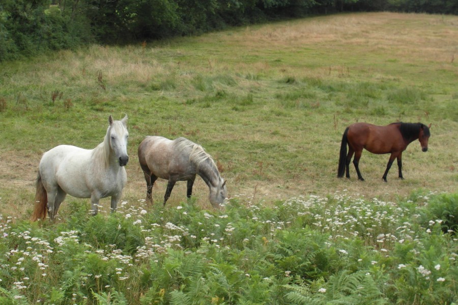 et oui, c'est reparti pour de nouvelles aventures