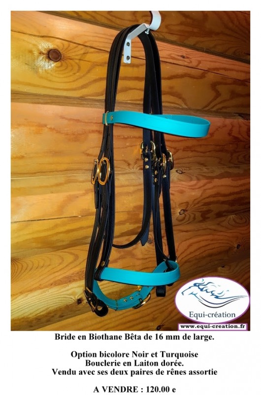 Rênes pour cheval biothane avec stops QHP