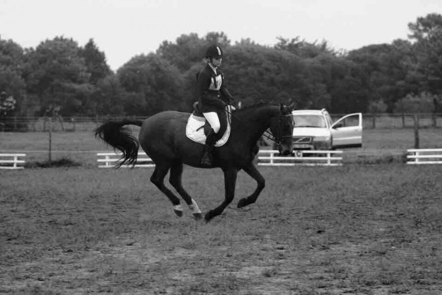 Boekelo de brunel