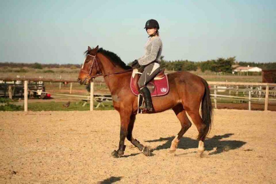 Ma bete<3