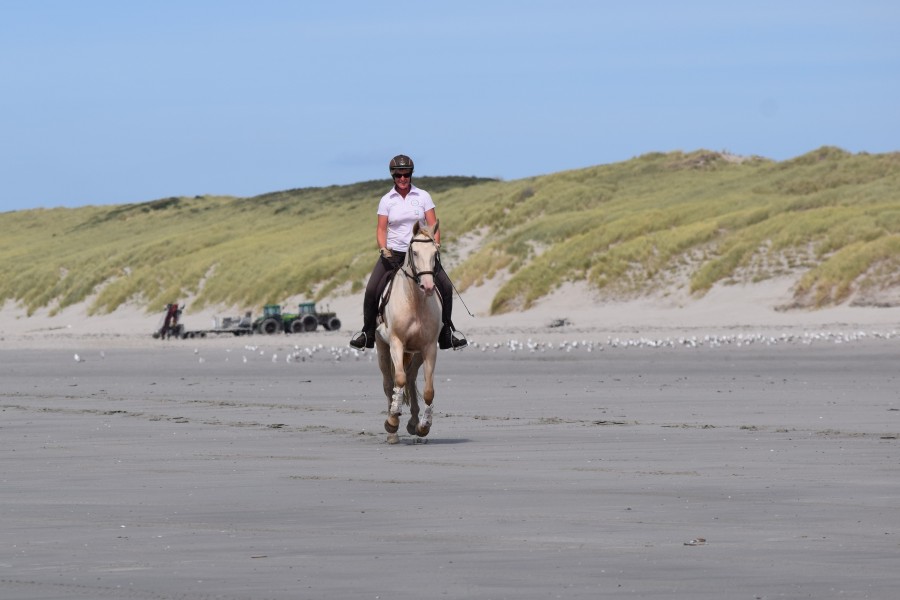 Au galop ,sans peur ni nervement ,c'est a un Lulu !