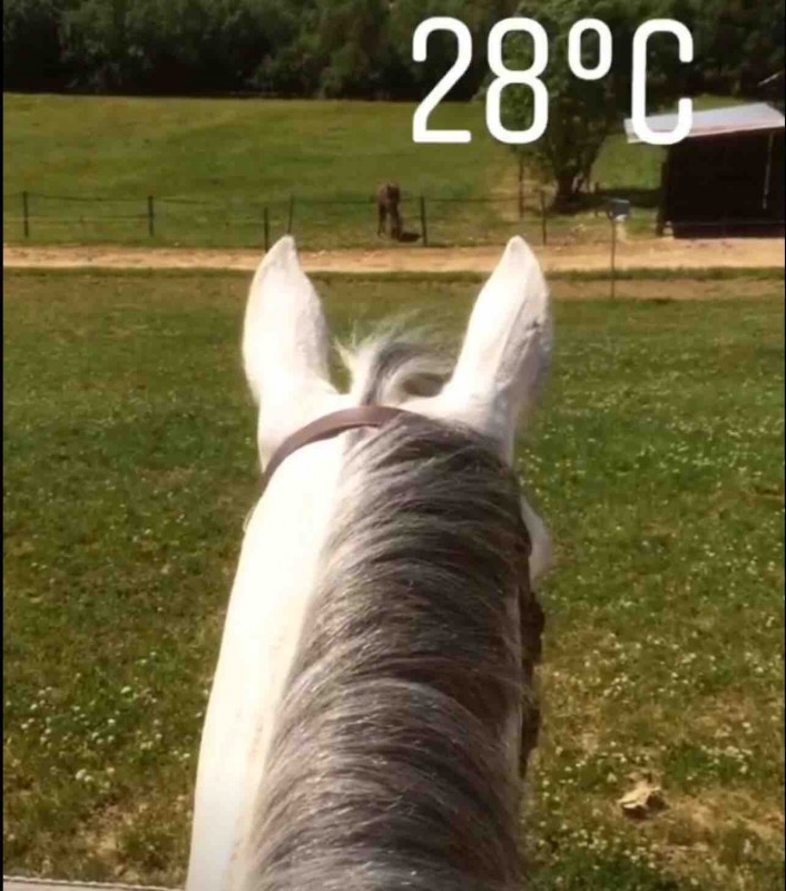 Il fait trop chaud