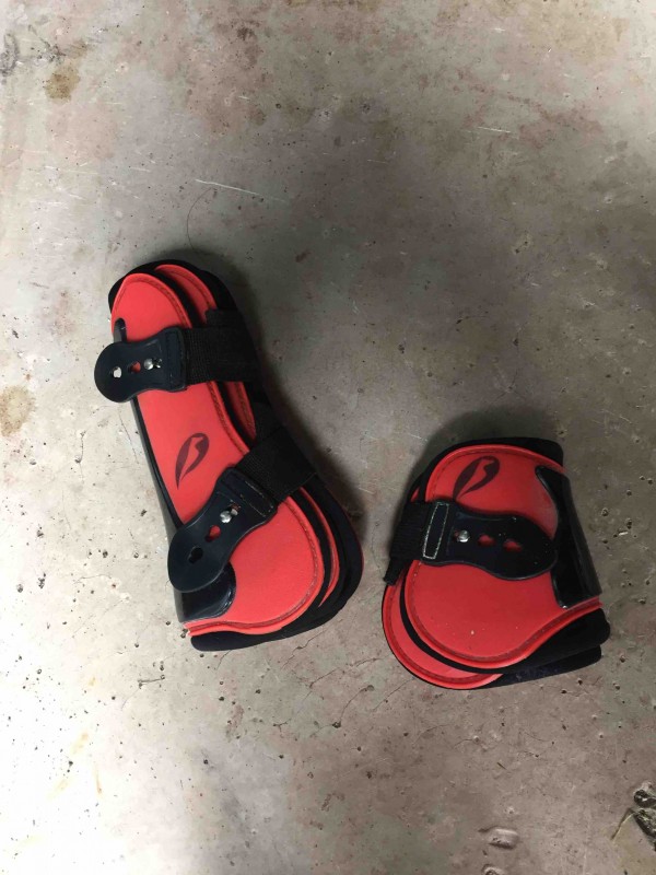 Gu�tres et protege boulet rouge norton en taille poney (D) a vendre 30? acheter 56?