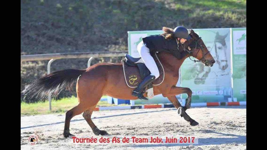 Le cheval c ma vie alors si vous trouver la photo jolie aimer  