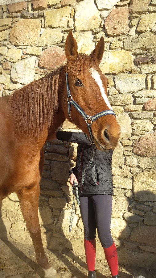 beau gosse ?