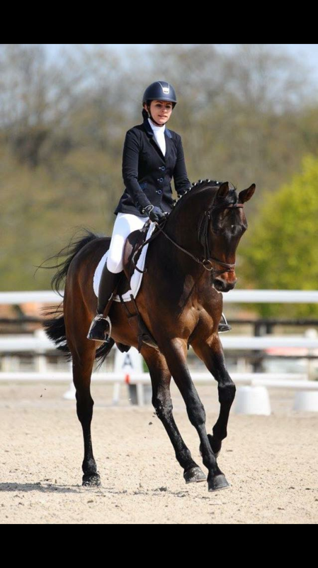 Je recherche un(e) cavalier(e) avec un bon niveau pour monter, Labaule, mon cheval de 6 ans appliqu� et gentil. Pour monter sur le plat avec possibilit� d\'aller en ext�rieur � Chaumontel - jour(s) fixe(s) ou flexible(s). Si int�ress� et pour plus d\'info