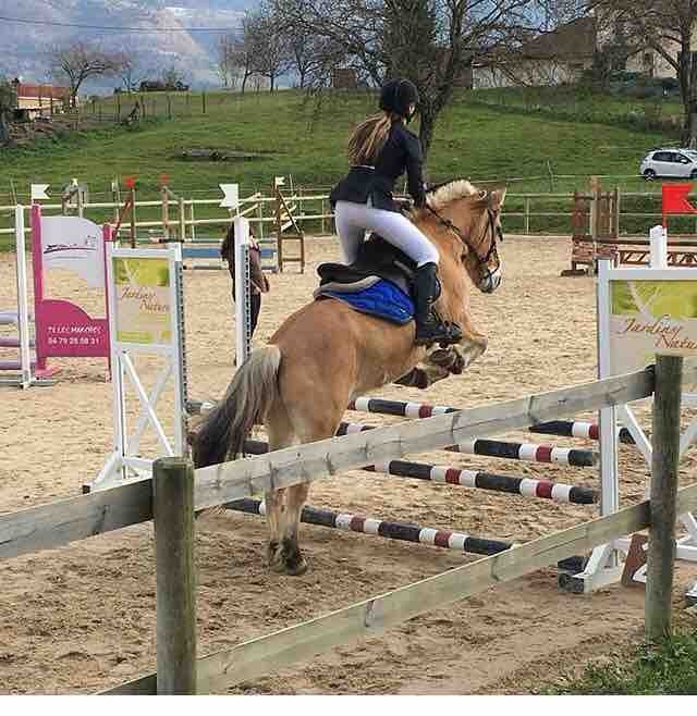 Fini 2�me avec Okapi de la Roche ! 
C\'est un Fjord de 13ans . Il sort en 70-80-90 cm 