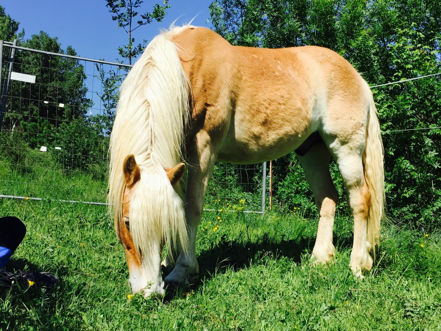 400kg de gourmandise!