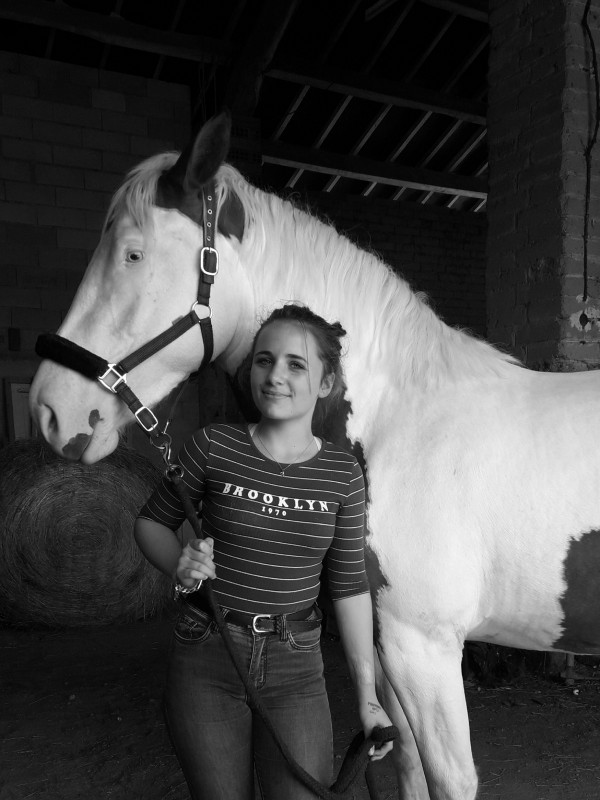 presentation
nom:fidji du carrelat
age:2ans et 6mois
race:ONC
robe:pie alezan