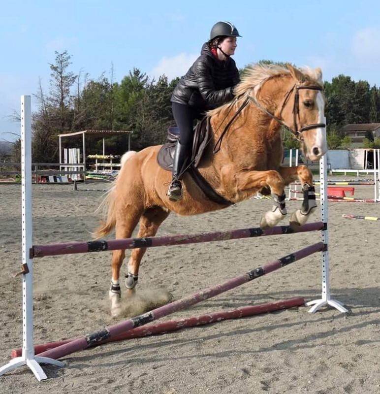 Nadji, s�ance de sauts d'obstacles