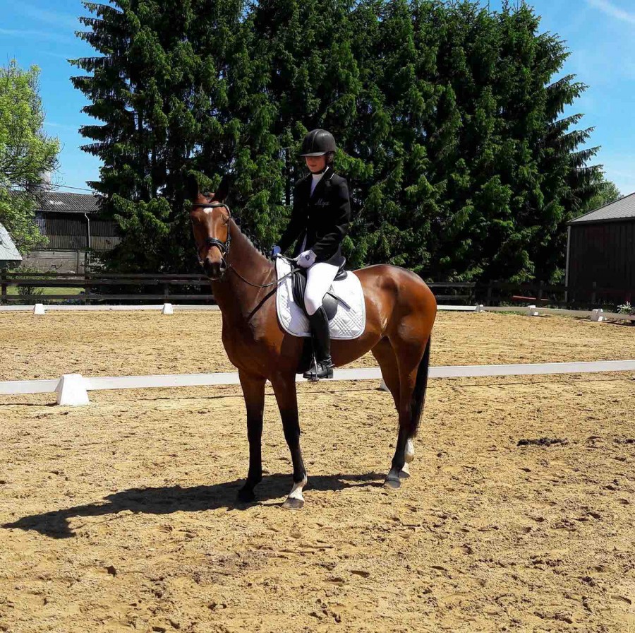 A VENDRE : Himalaya Chemin de la Forge 4 ans 