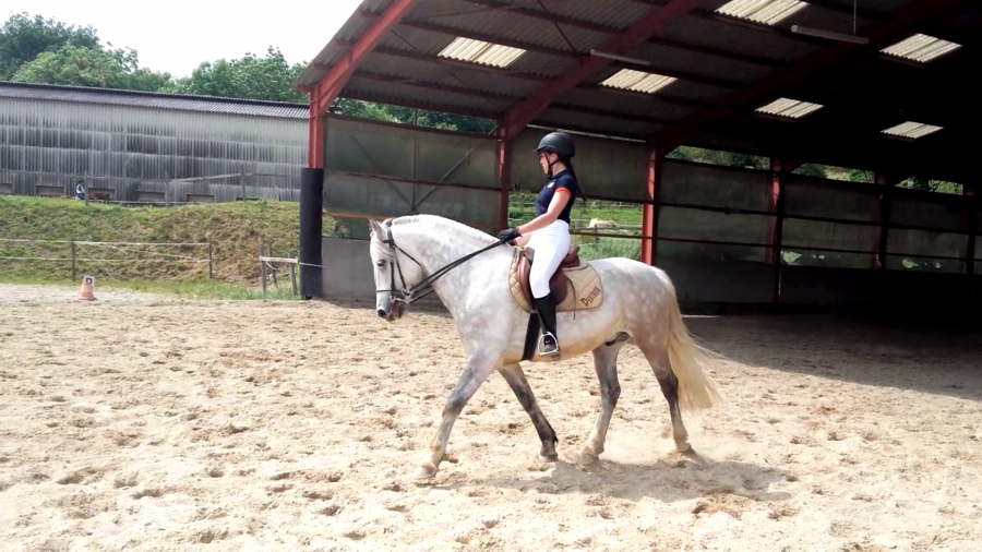 Poquitos mai 2016, reprise club 2 GP passage galop 6