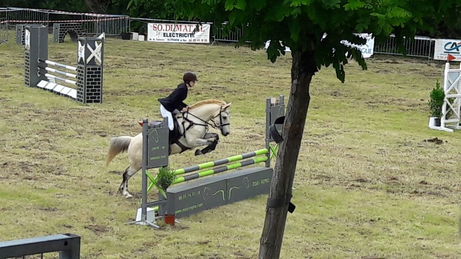 Aujourd\'hui,comp�titon de CSO ! Championnat R�gional !! 