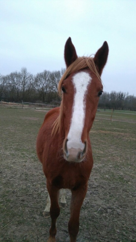 Mon doudou cette hiver 