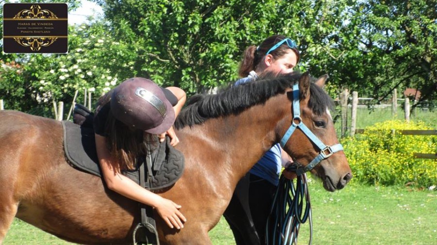 Etern'elle des embruns. Une ponette bien plus que parfaite...