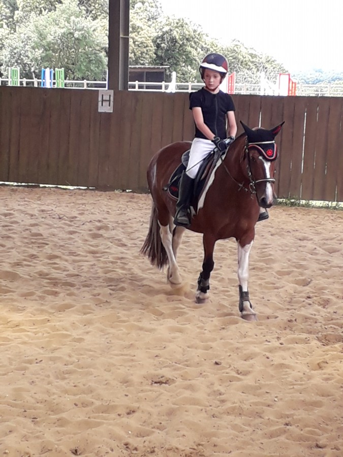 mon poney adoradorable