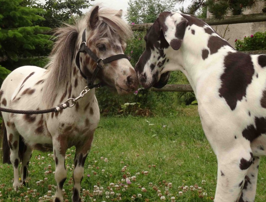 Enzo et sa copine