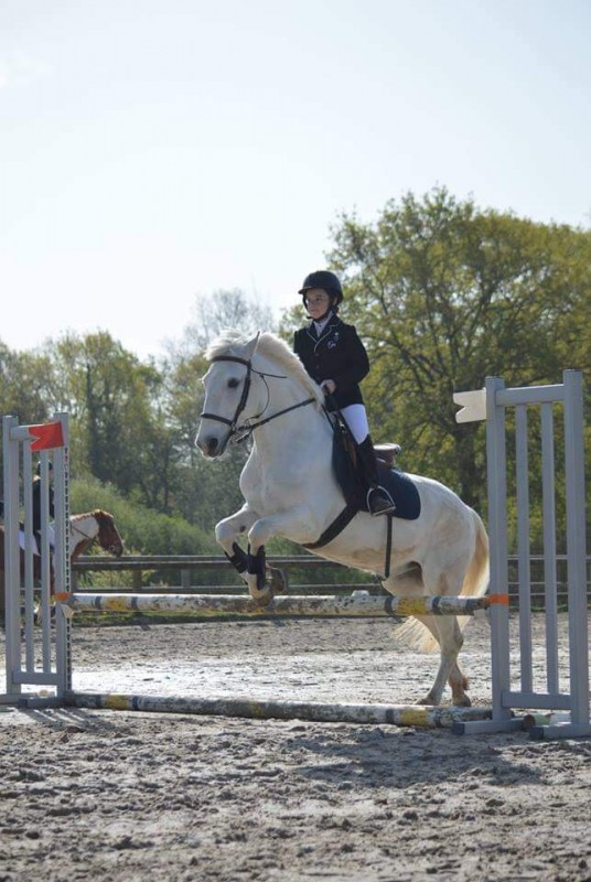 mon concours de saut du 22/04/18