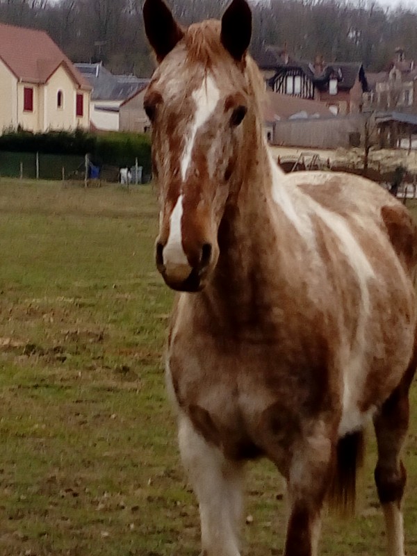 une doudoune extraordinaife

