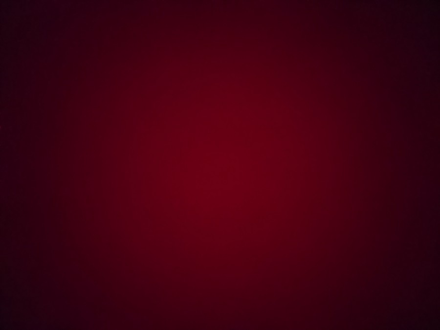 je suis a la recherche d \'un tapis de concours paw trop cher, si vous avez quelquechose a me proposer je prend?
