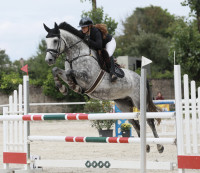 Vente de cheval : Clairy