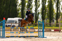 Vente de cheval : Hydra de Nesque