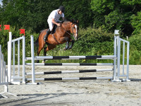 Vente de cheval : Epona coco 