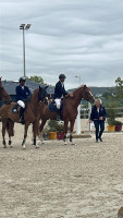 Vente de cheval : COLOMBE DE LAYE