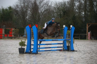 Vente de cheval : Lolita 