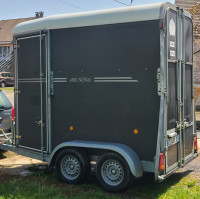 Vans chevaux
